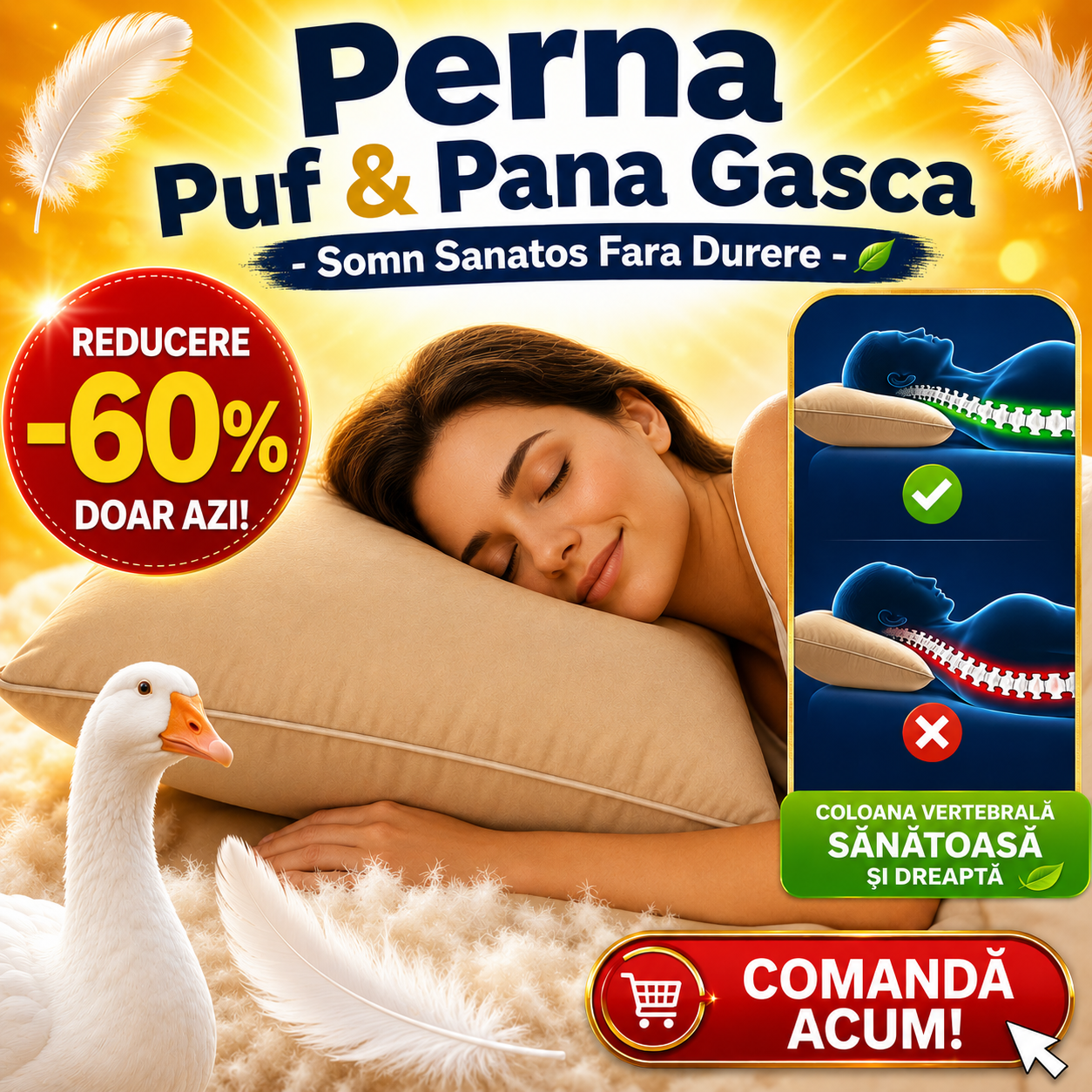 Perna Puf si Pana Gasca Natural Premium 50x70cm
