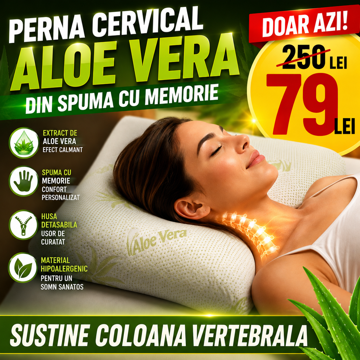 PERNA CERVICAL ALOE VERA DIN SPUMA CU MEMORIE